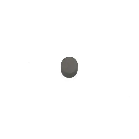 1640-1895 – 5 Mm Diameter × 1.5 Mm Thick Nickel-Plated Coin Magnet | Pack Of 10 1