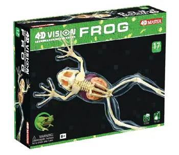 4D Frog Skeleton Model – Anatomical Educational Kit For Ages 8+ 1