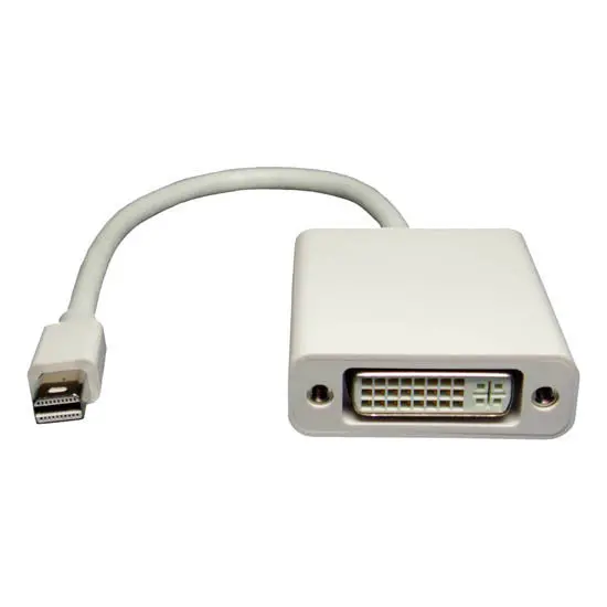 Arwb-8122A Mini Displayport Male To Dvi Female Adapter – 6 In 1