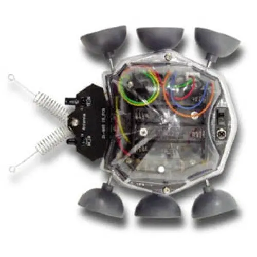Ladybug-Themed Robotics Kit – Entry-Level Stem Building Set For Beginners 1