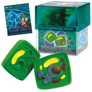 Plant Cell & Microbiology Educational Model – Model 32371 1