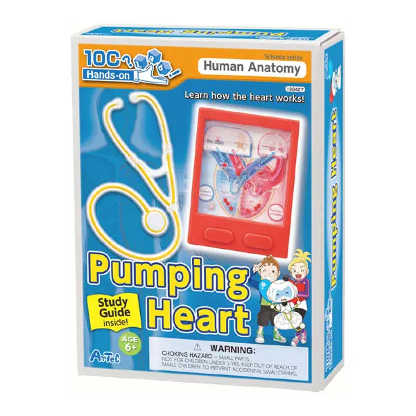 Pumping Heart Model With Instructional Guidebook – Model 196427 1