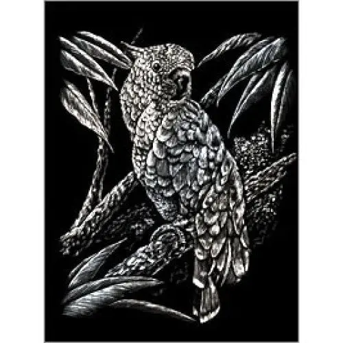 Silver Cockatoo Engraving Print – Silf18 1